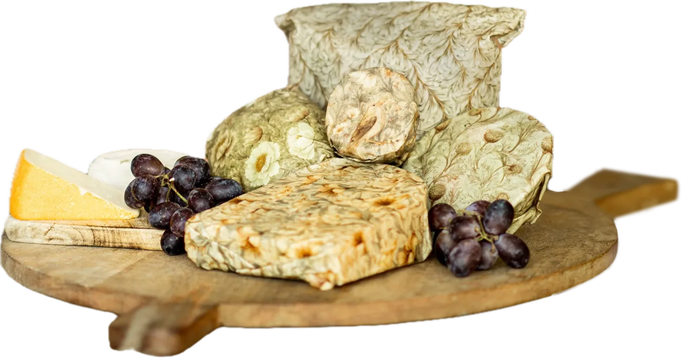 Kaas, groente en brood bewaard met Dooek